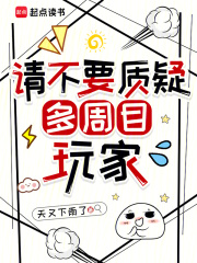 请不要质疑多周目玩家
